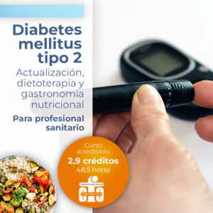 Diabetes melitus tipo 2. Actualización, dietoterapia y gastronomía nutricional. 2023-24