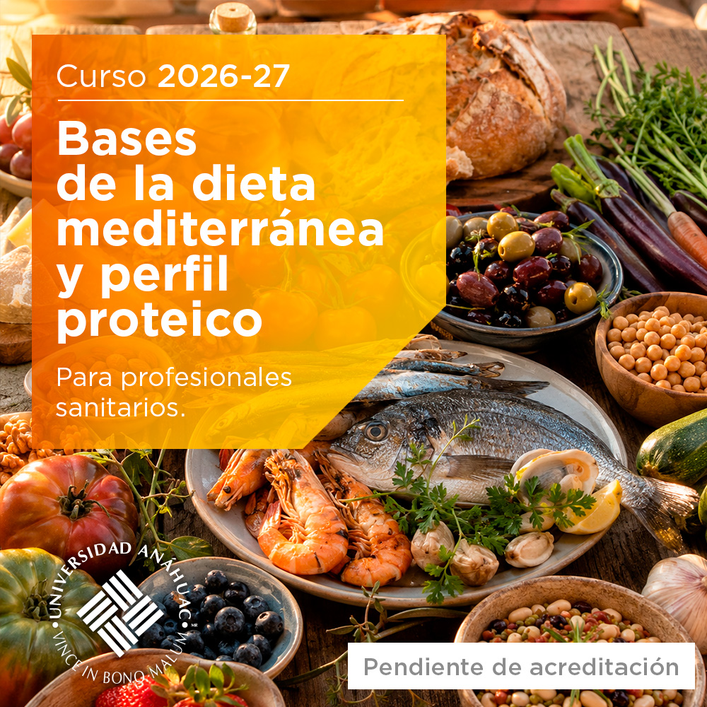 Bases de la dieta mediterránea y perfil proteico 2026-2027
